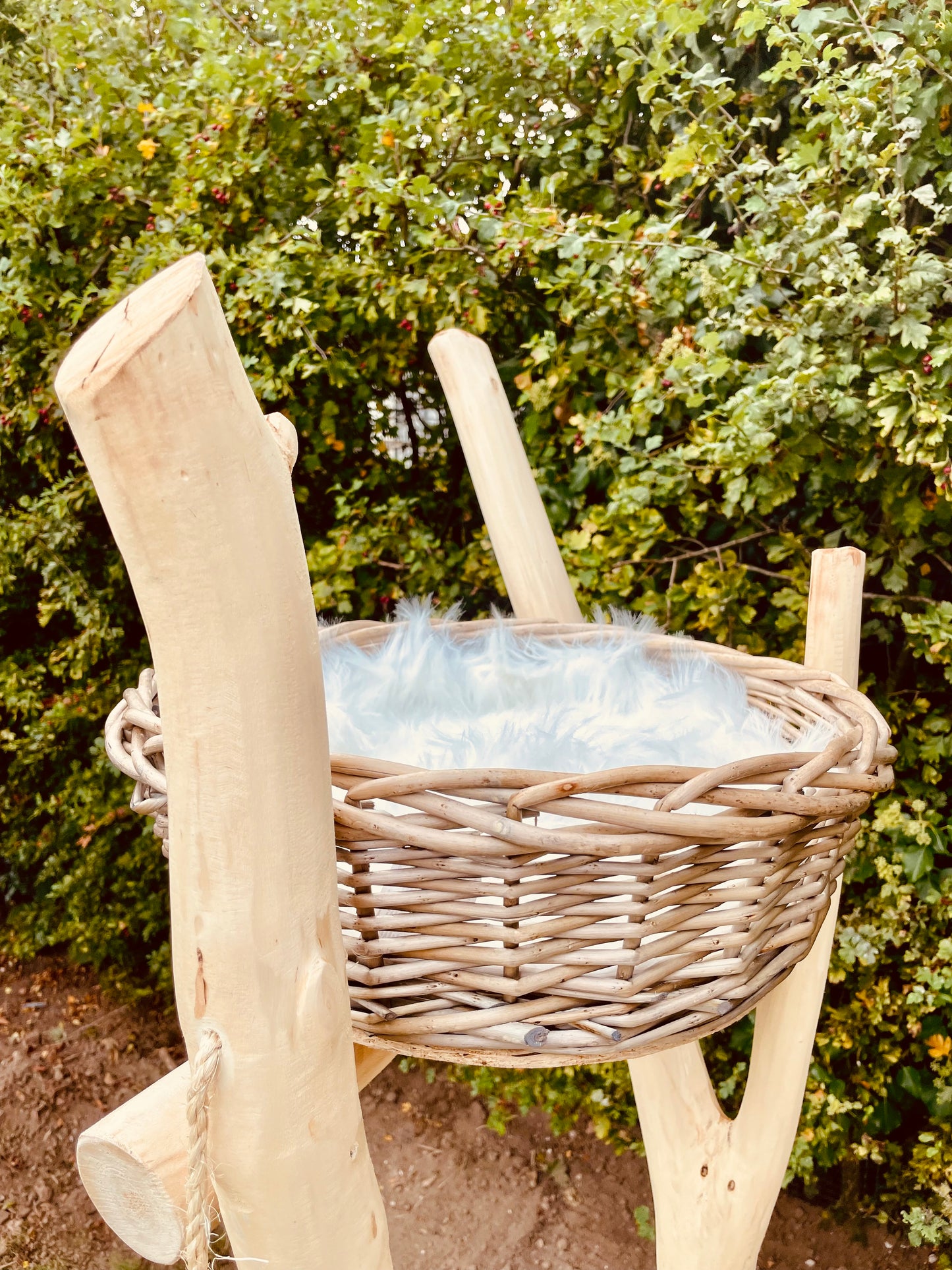 Tilly Mint’s Tree House