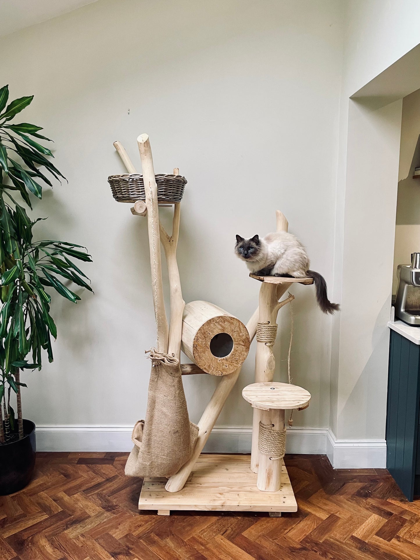 Tilly Mint’s Tree House