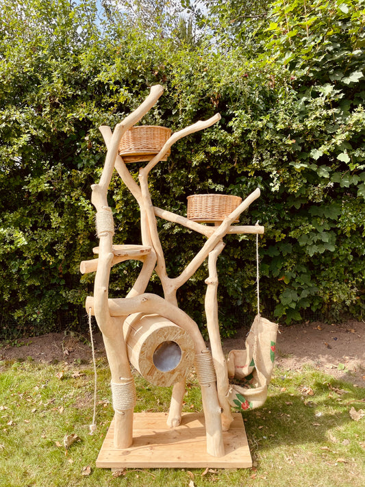 Leonardo De Pinchy’s Prison