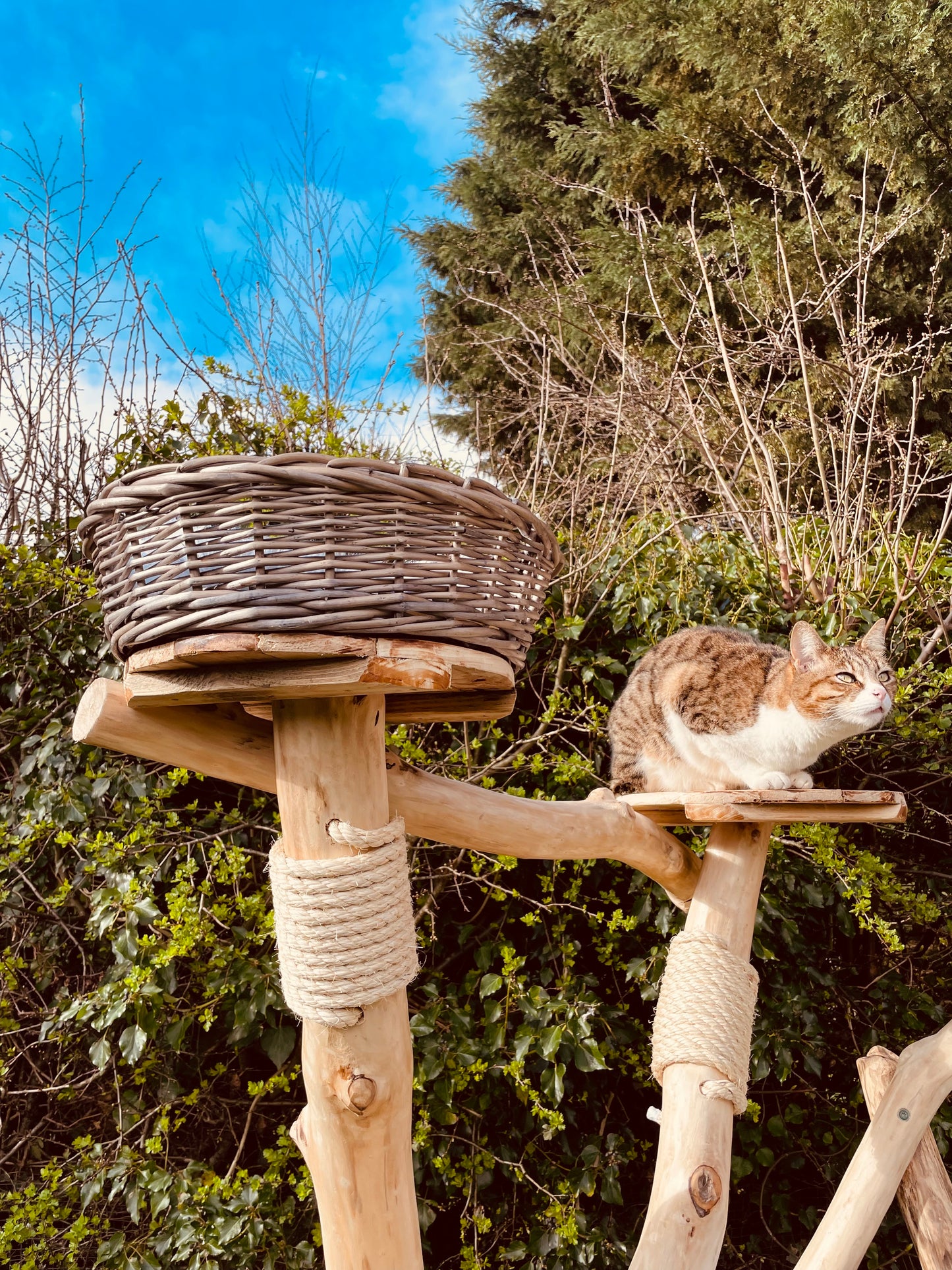 La Torre de Las Infantas