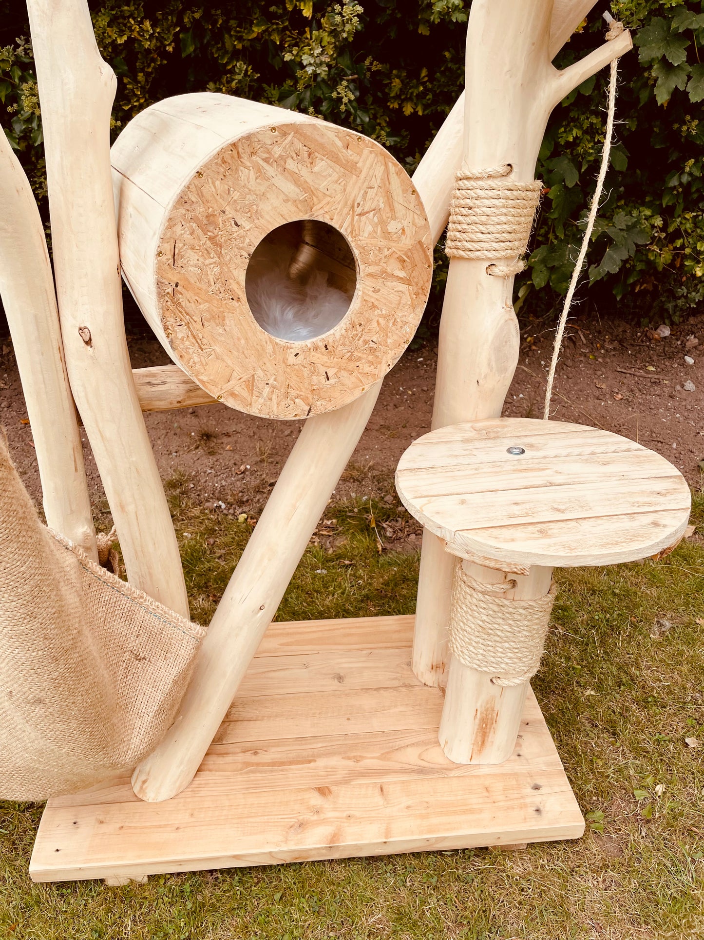 Tilly Mint’s Tree House