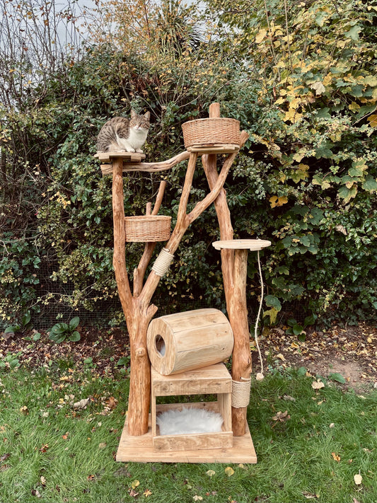 Charlotte’s Log Cabin