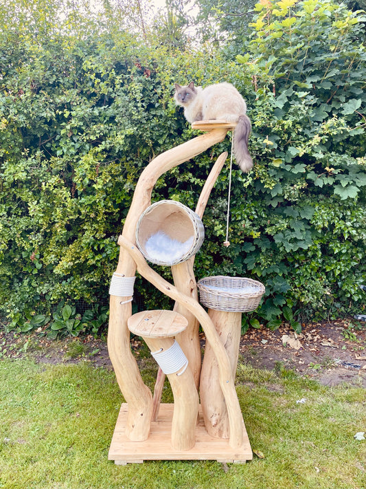 The Big Bad Bombay Baddie