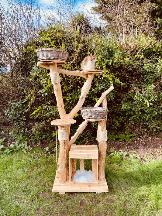 La Torre de Las Infantas