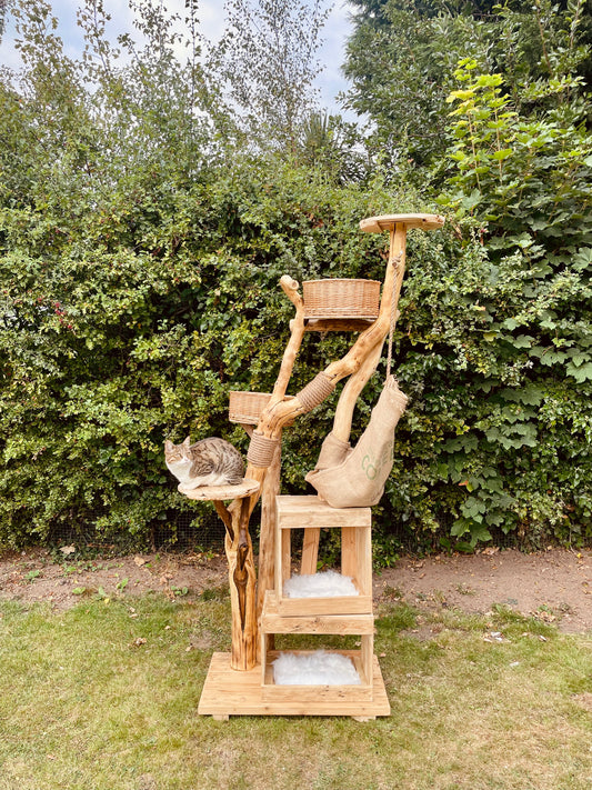 Smokie Mo’s Gold Mine