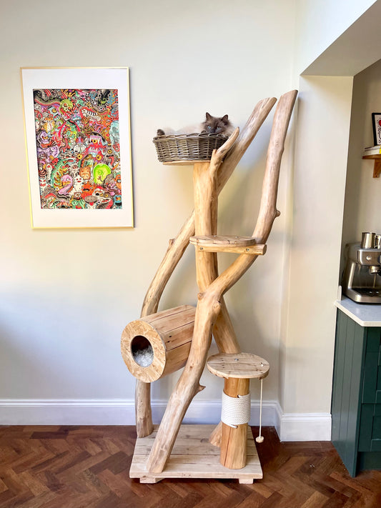 Hendrix’s Hazy Hideaway