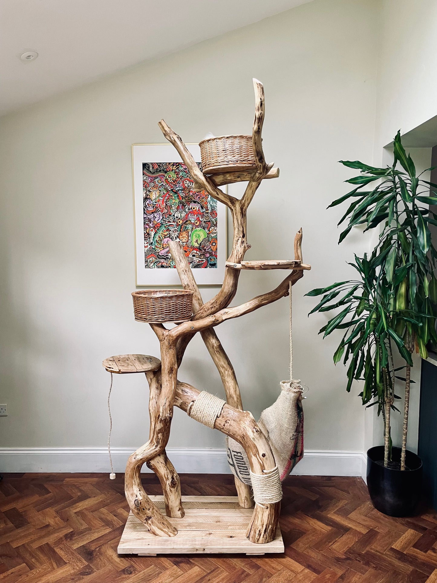 Teddy Long Legs’s Leisurama