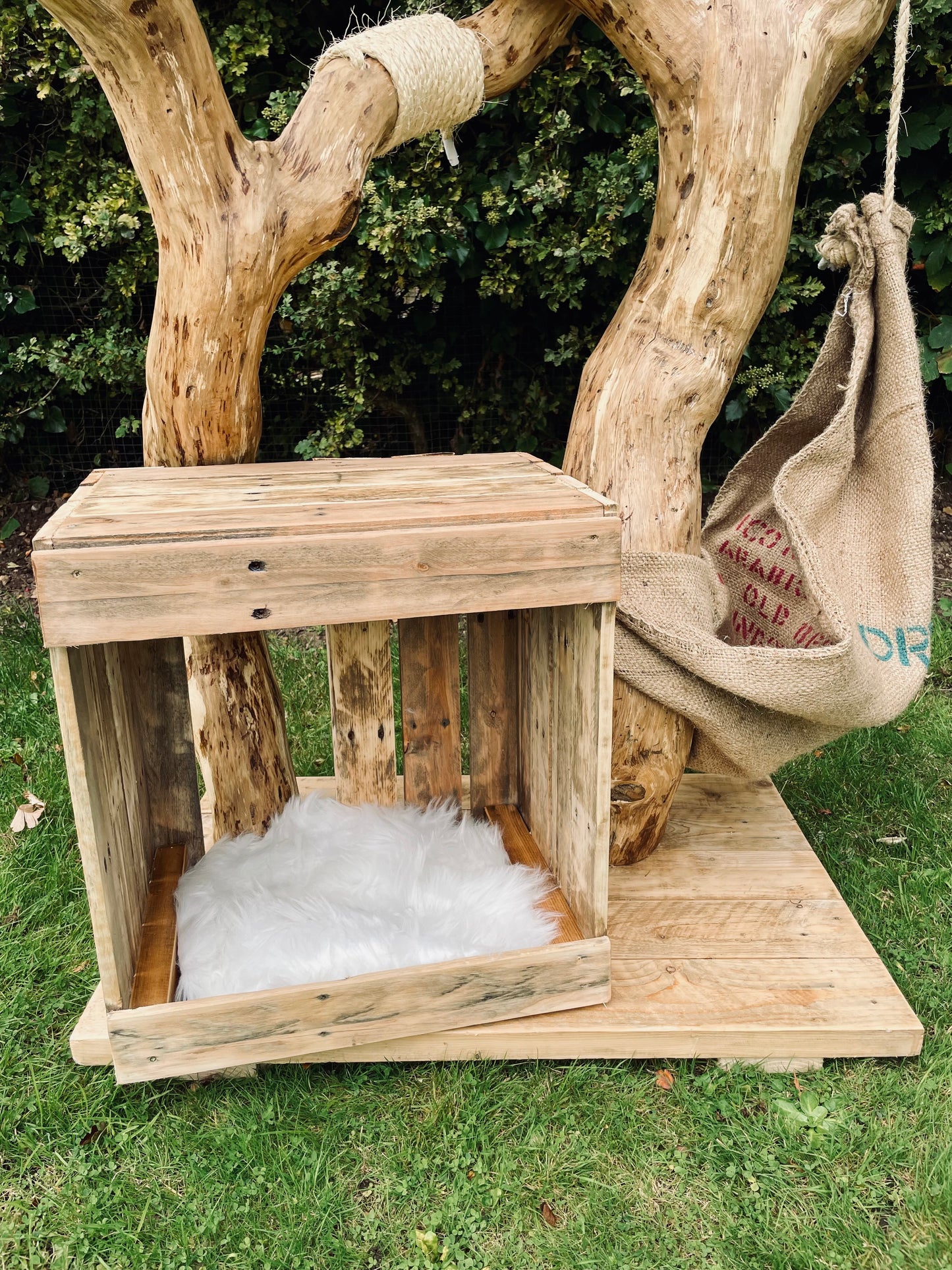 Woody Woodpecker’s Nuthouse