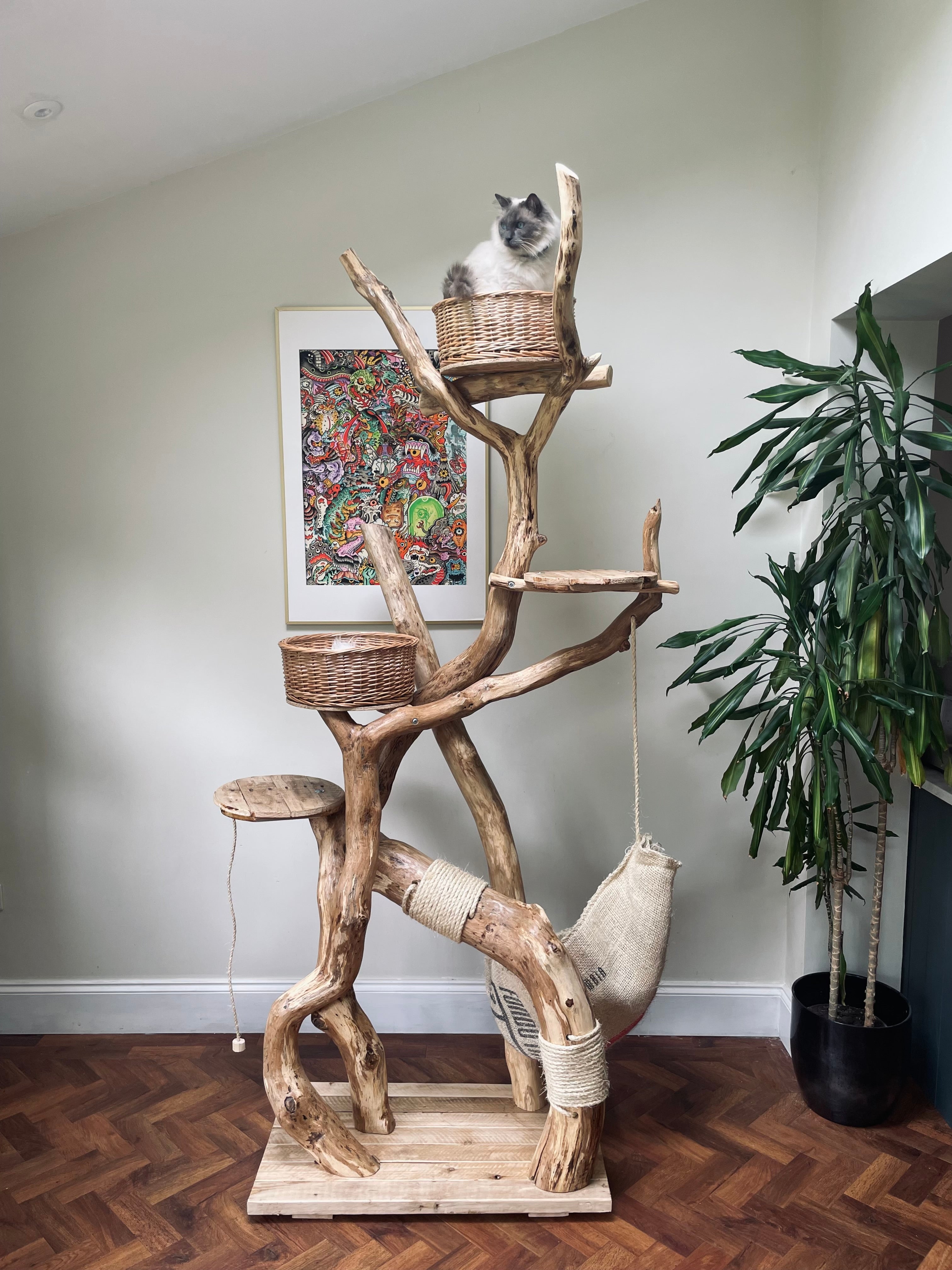 Teddy Long Legs's Leisurama –