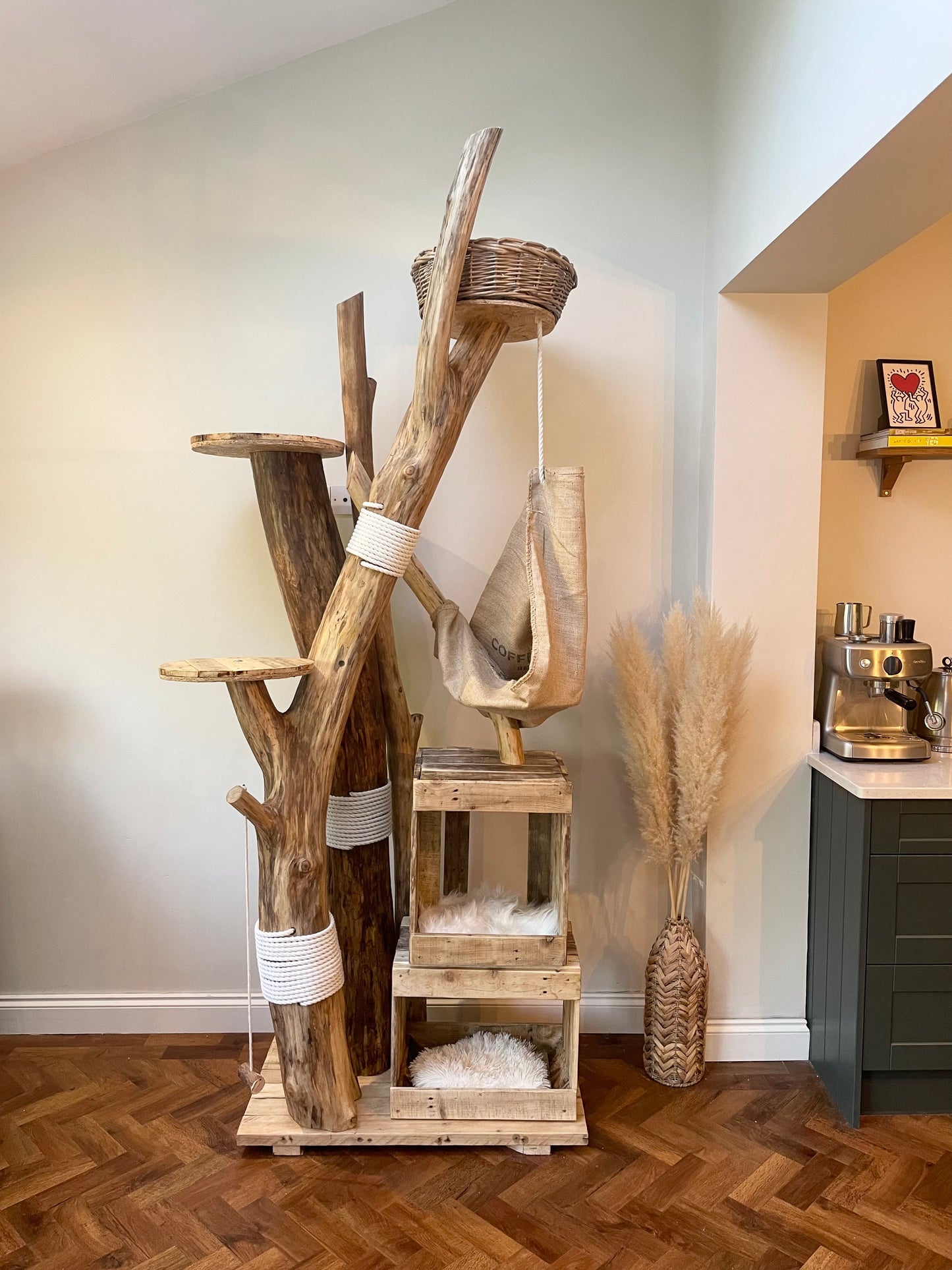 Oedipuss’s High Rise Complex