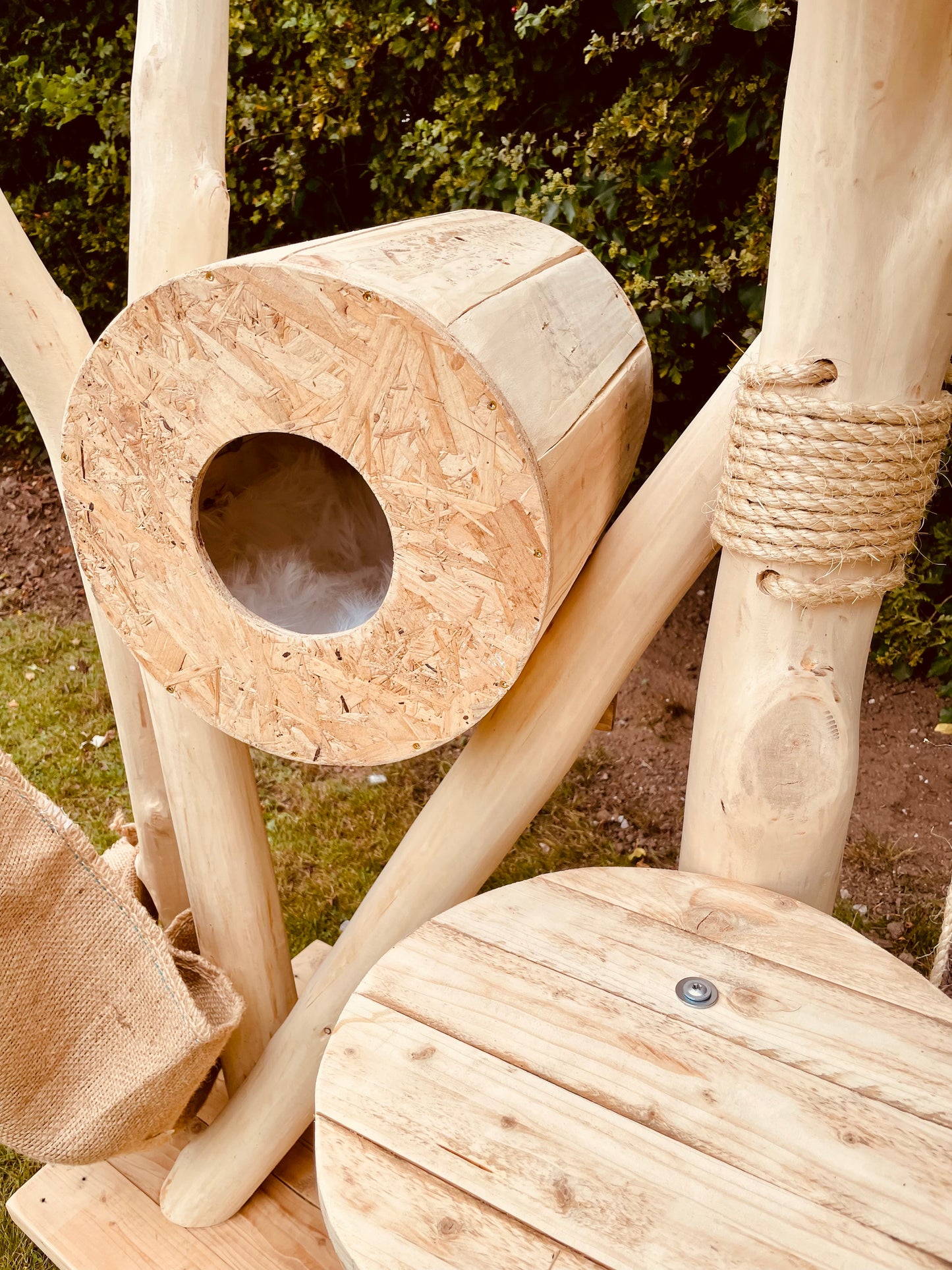 Tilly Mint’s Tree House