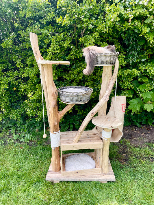 The Manor of Marshmallow