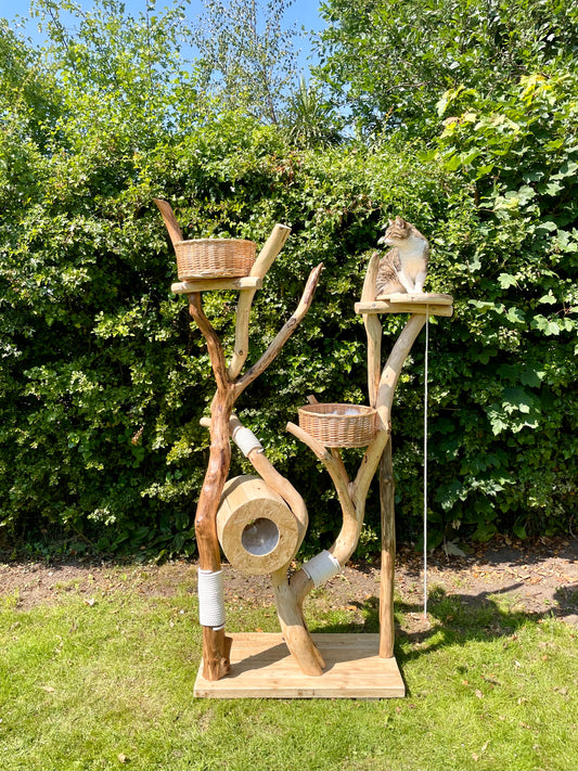 Sanchez’s SunnySide Shack