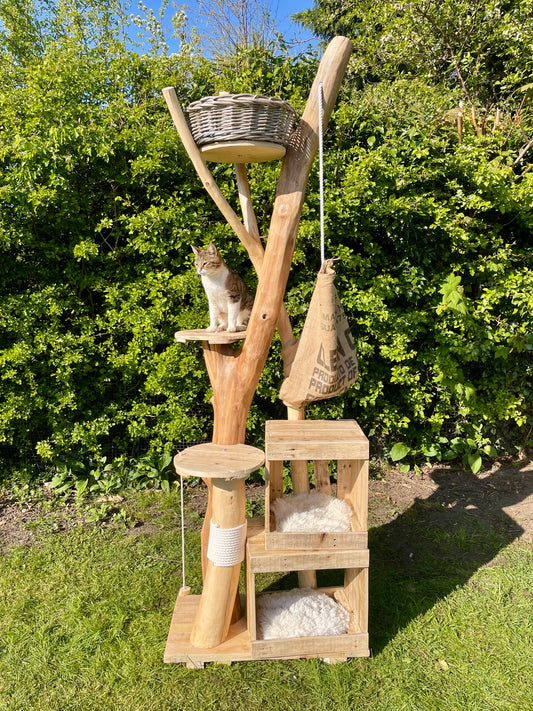 Tamatoa’s Towering Terrace