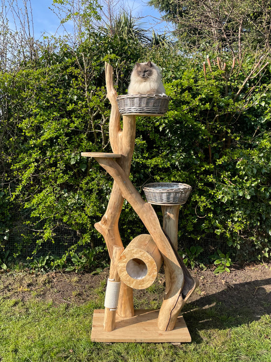 Gandalf & Darcy’s Dashing Duplex