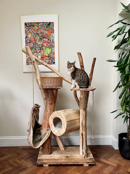 Stanley’s Purr-a-Palooza Shack