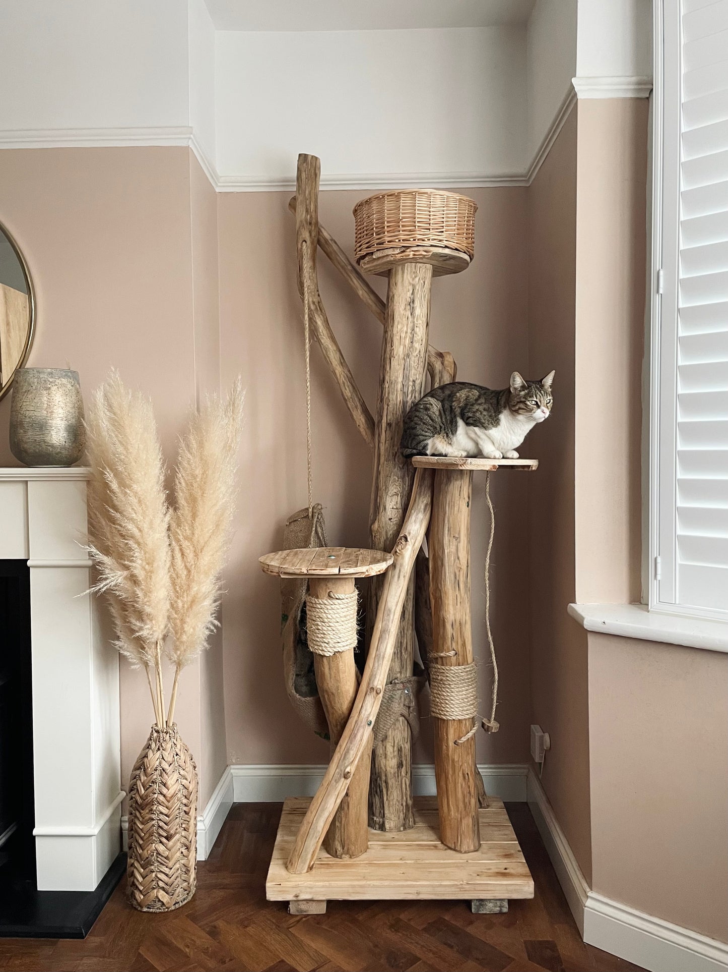 The Grand Purrch