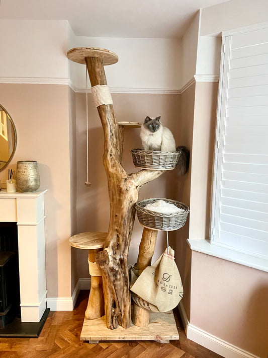 Cat Trees – Treow.shop