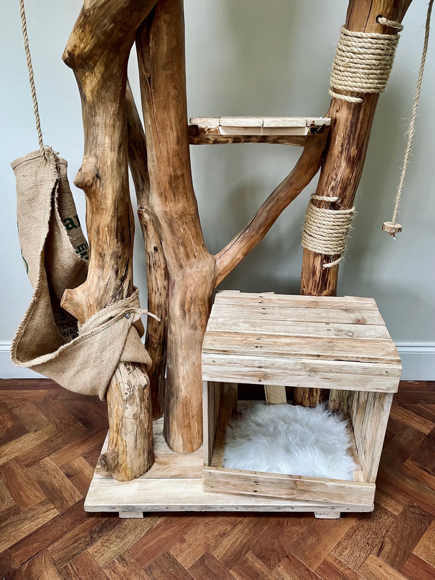 Maple the Maine Coon’s Mega Monolith