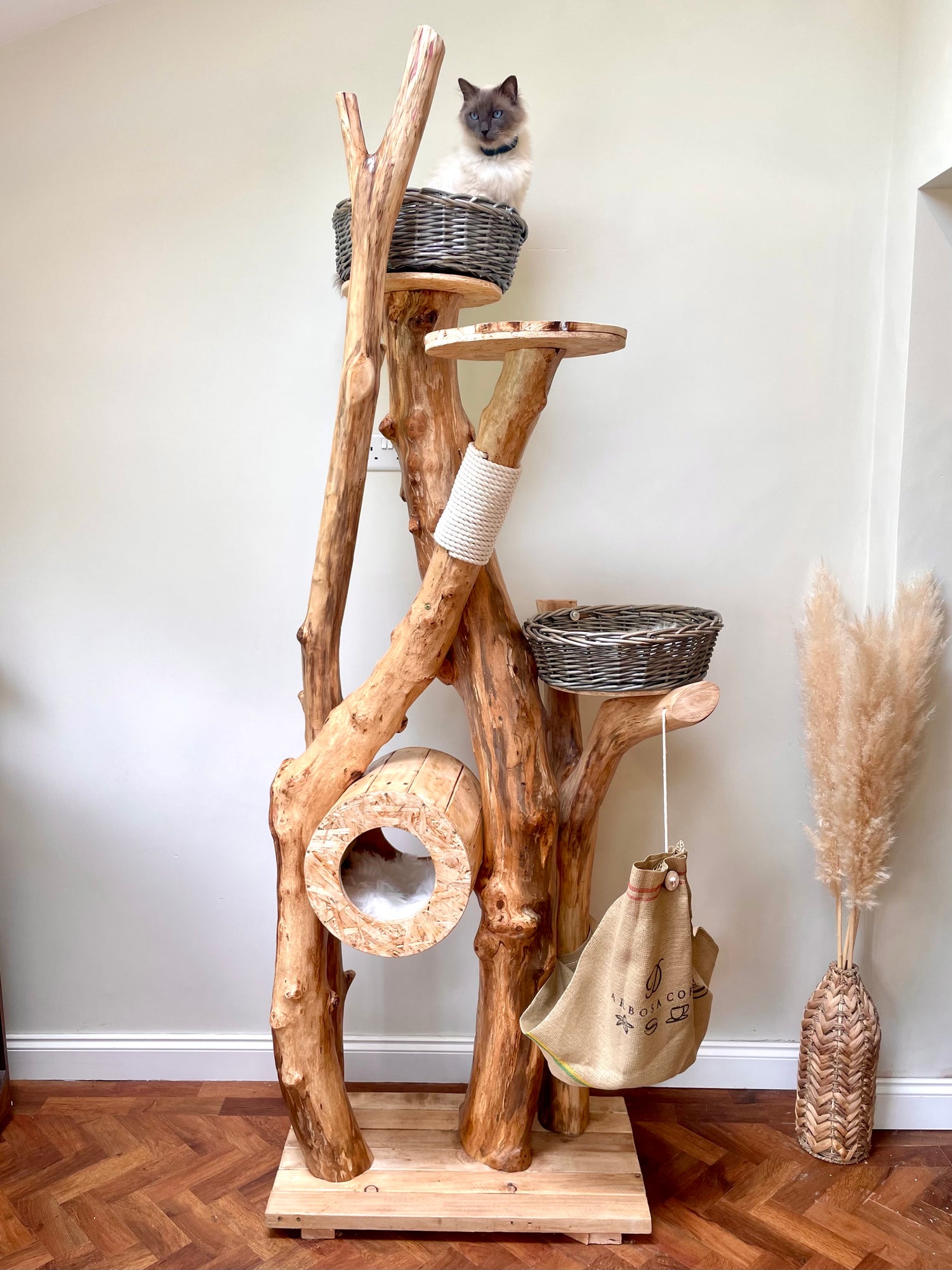 Mafdet's Magical Masia – - Main Image