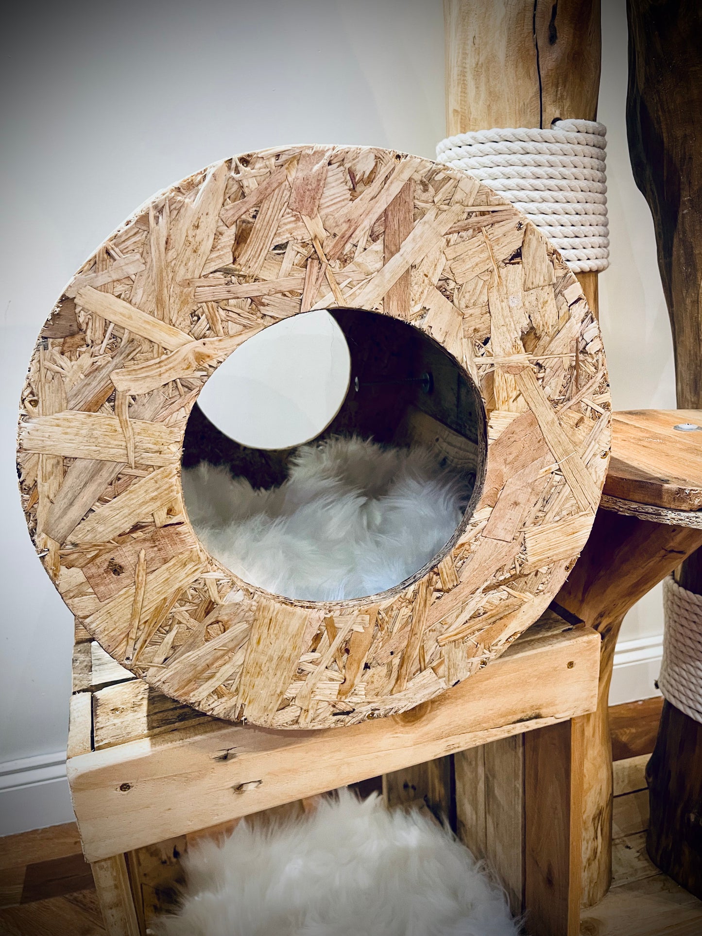 Smudge’s Secretive Shelter