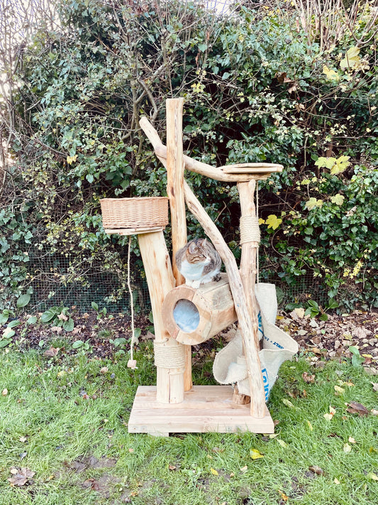 Lil Bub’s Box Room