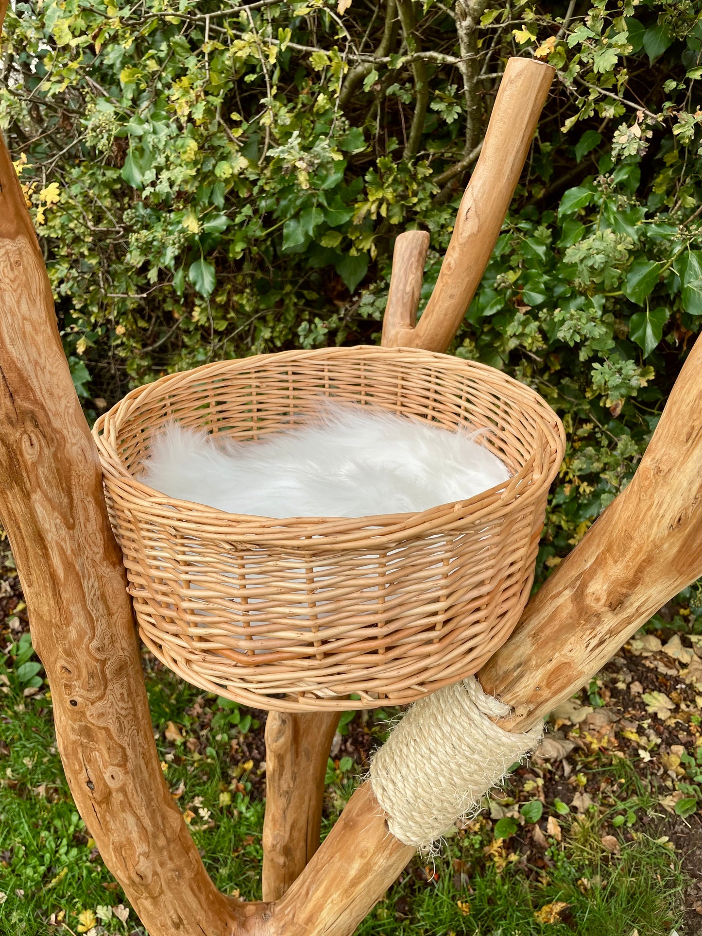 Charlotte’s Log Cabin