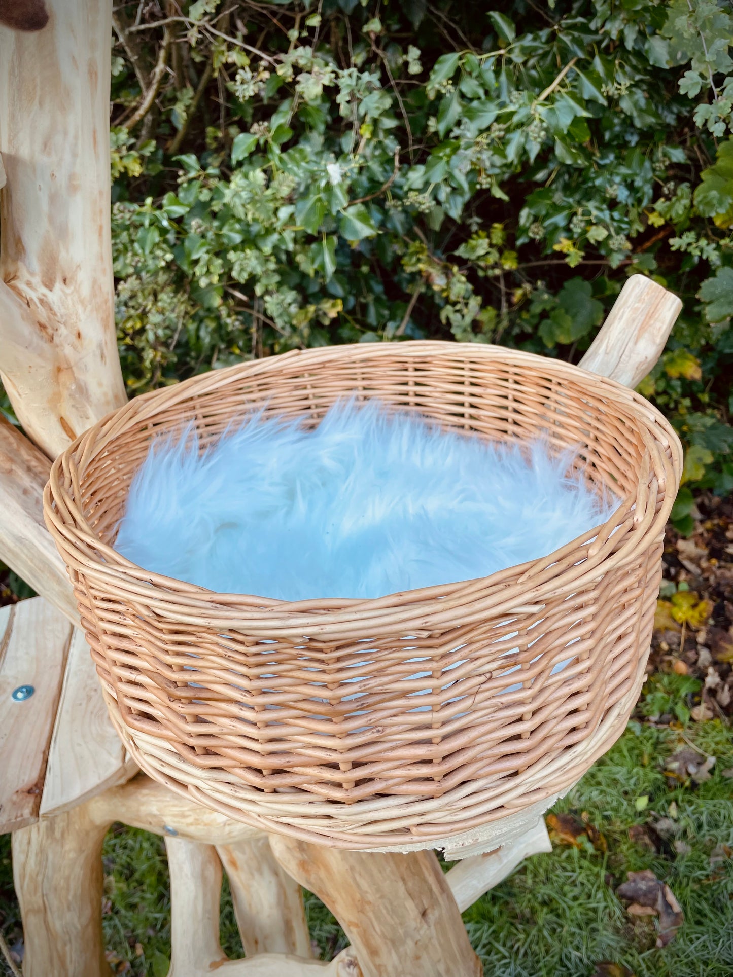 Little Nicky’s Noddy Noo