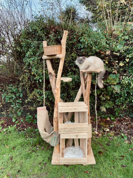 Twix’s Chopsticks’s