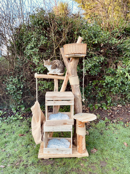 The Wham-Bam Kitty Climb-Jam