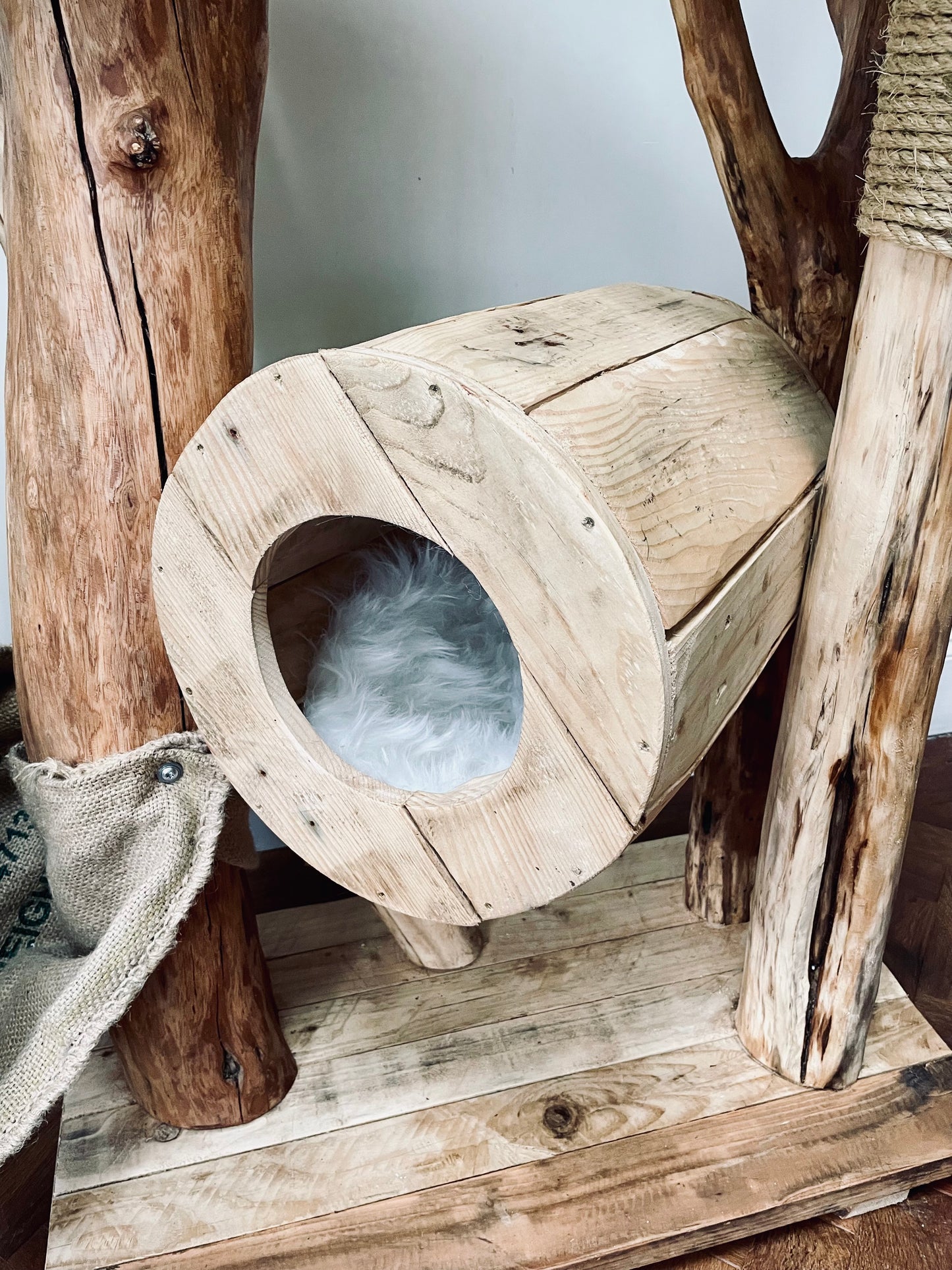 Stanley’s Purr-a-Palooza Shack