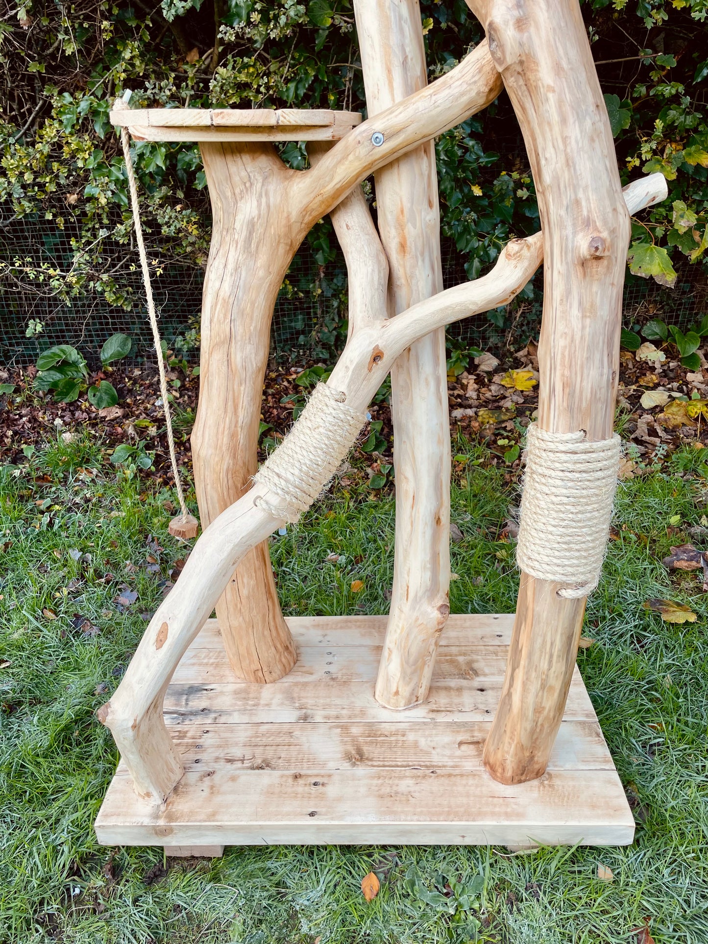 Little Nicky’s Noddy Noo