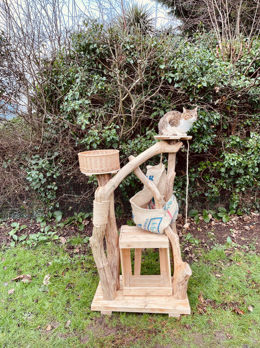 Meowchi’s Little Lodge