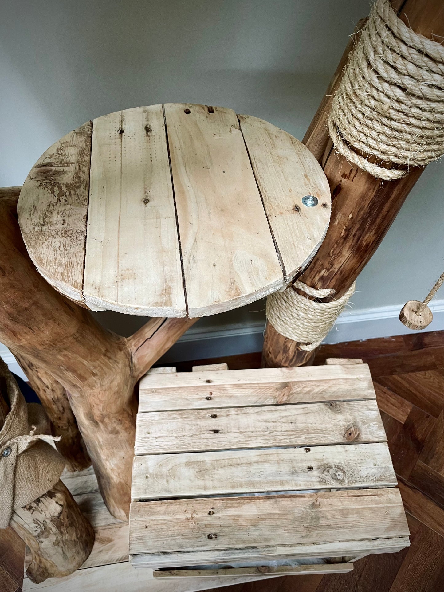 Maple the Maine Coon’s Mega Monolith