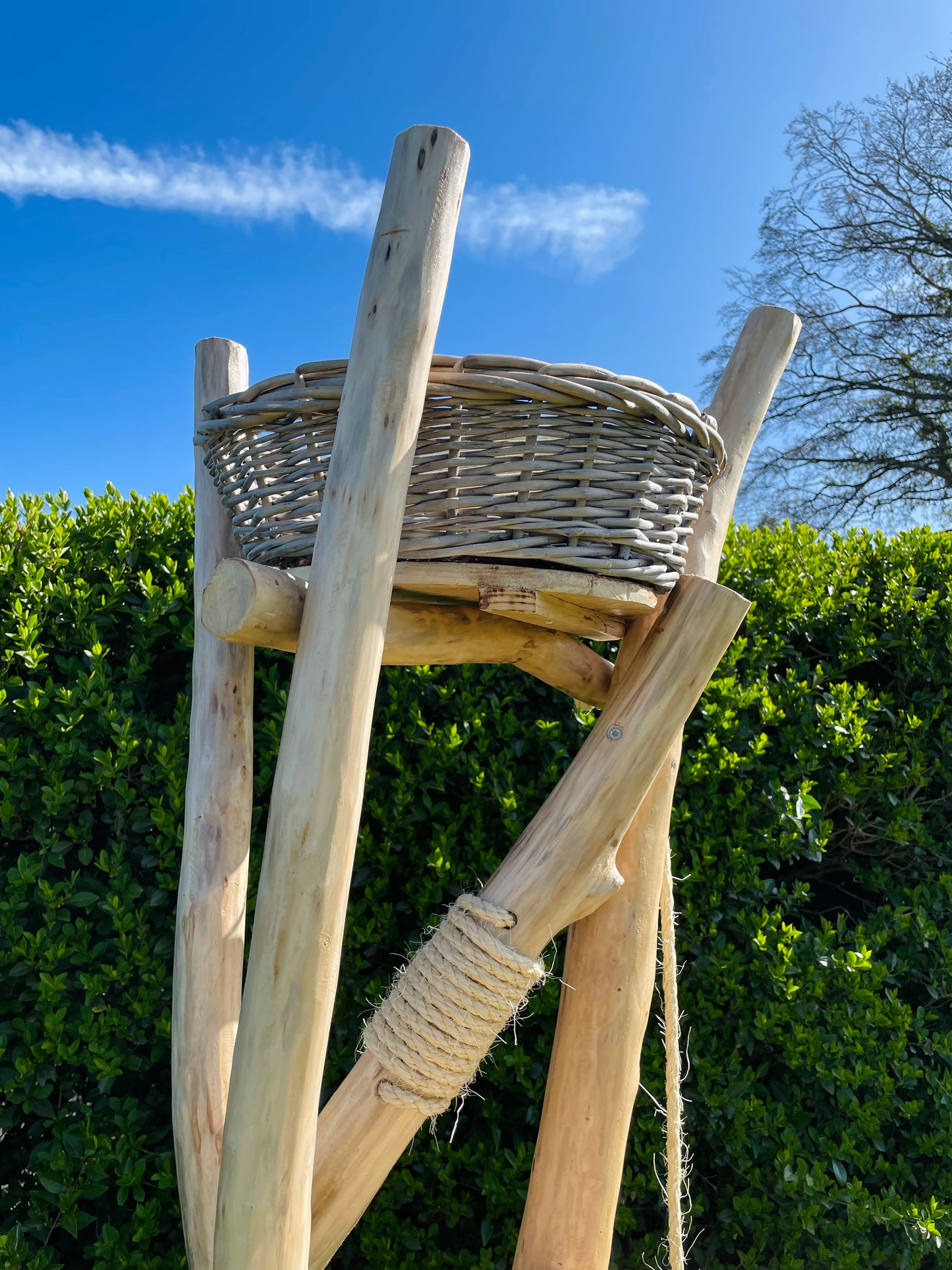 The Tidalwood Regency Climbing Suite