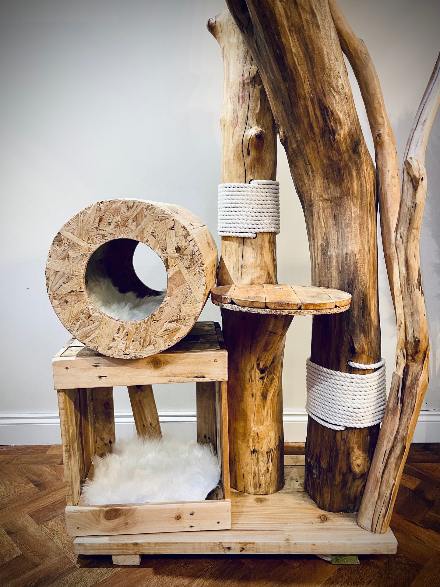 Smudge’s Secretive Shelter