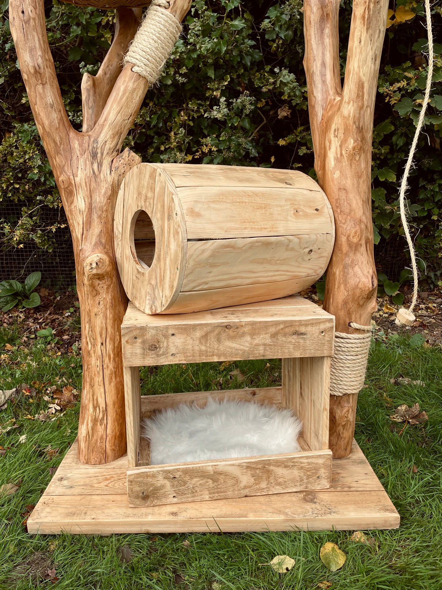 Charlotte’s Log Cabin