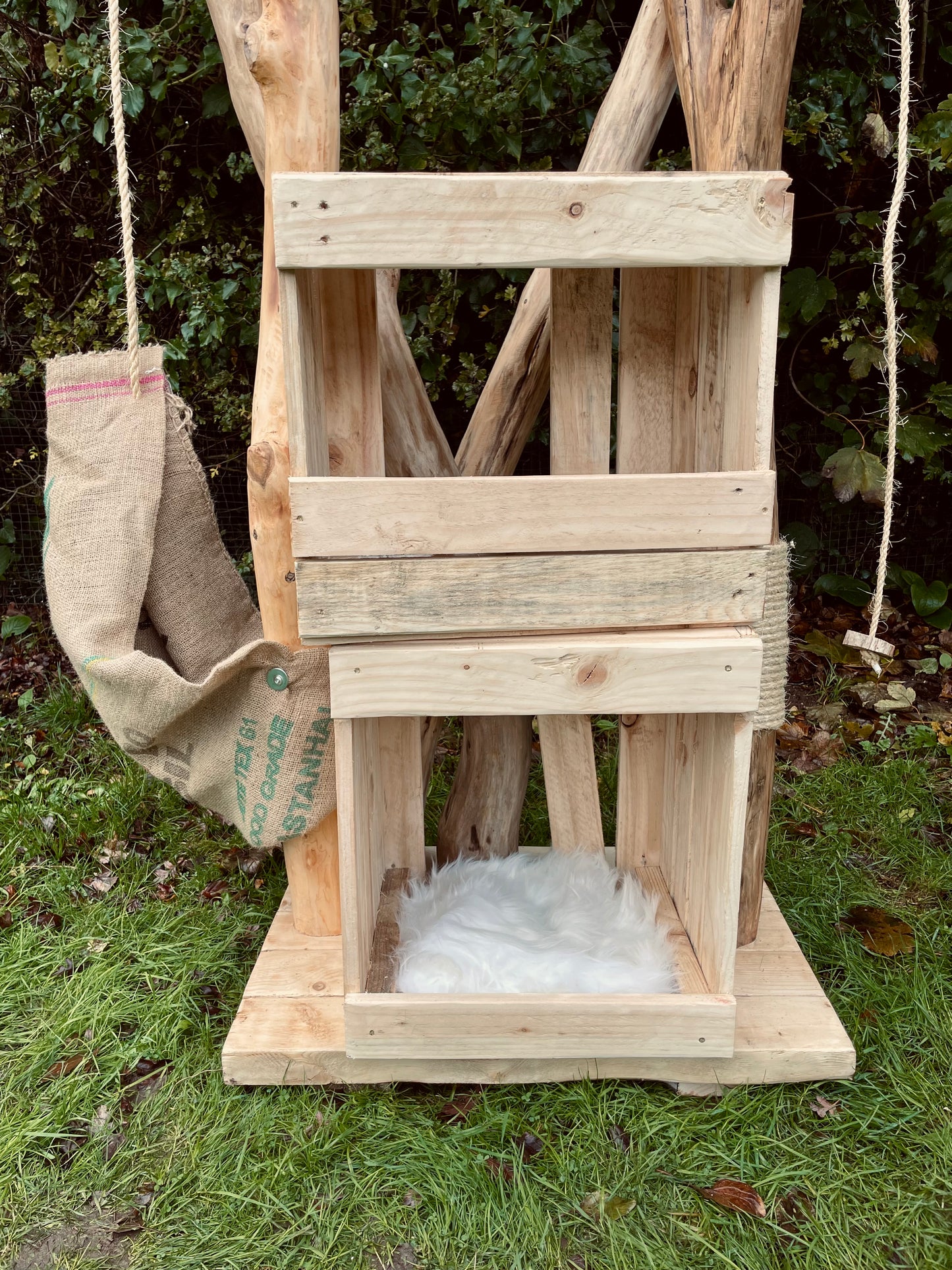 Twix’s Chopsticks’s