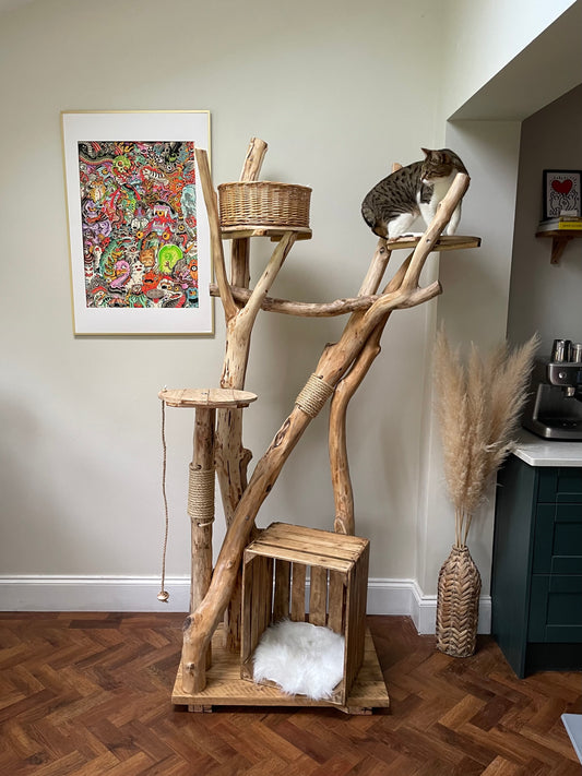 Garfield’s Grand Guardhouse