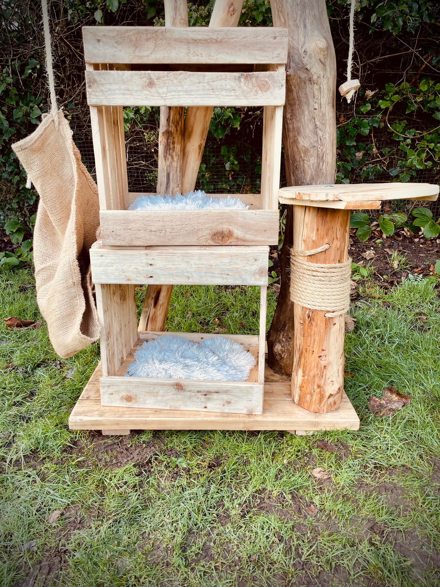 The Wham-Bam Kitty Climb-Jam