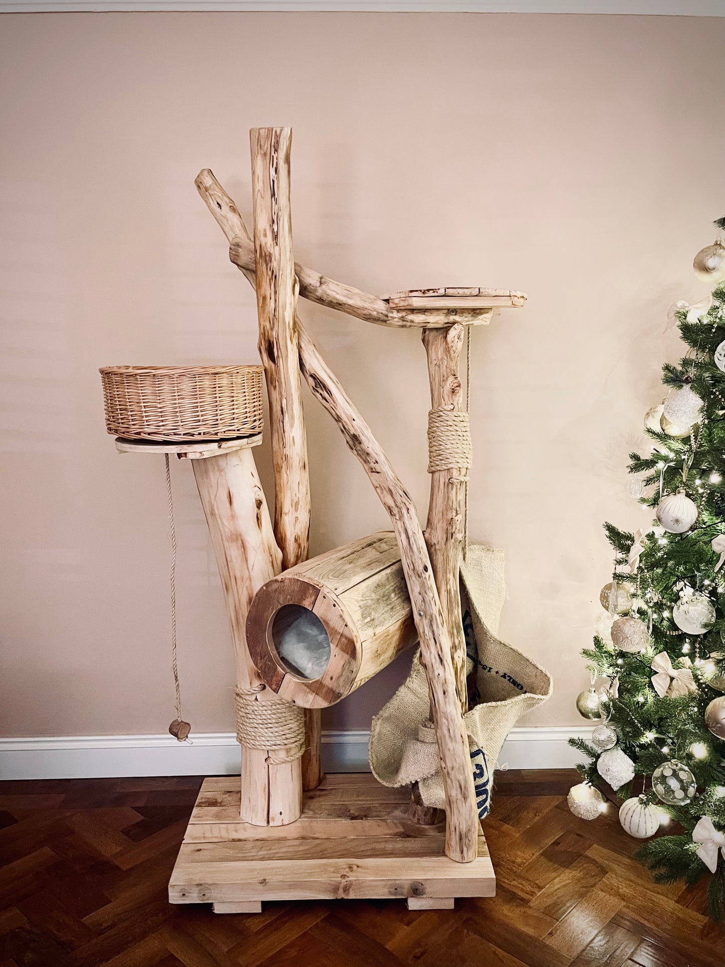 Lil Bub’s Box Room