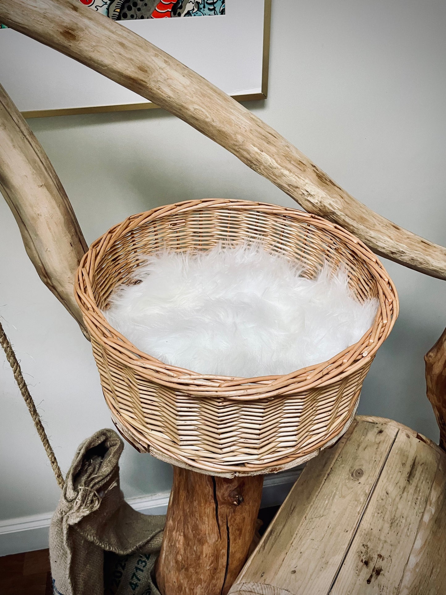 Stanley’s Purr-a-Palooza Shack