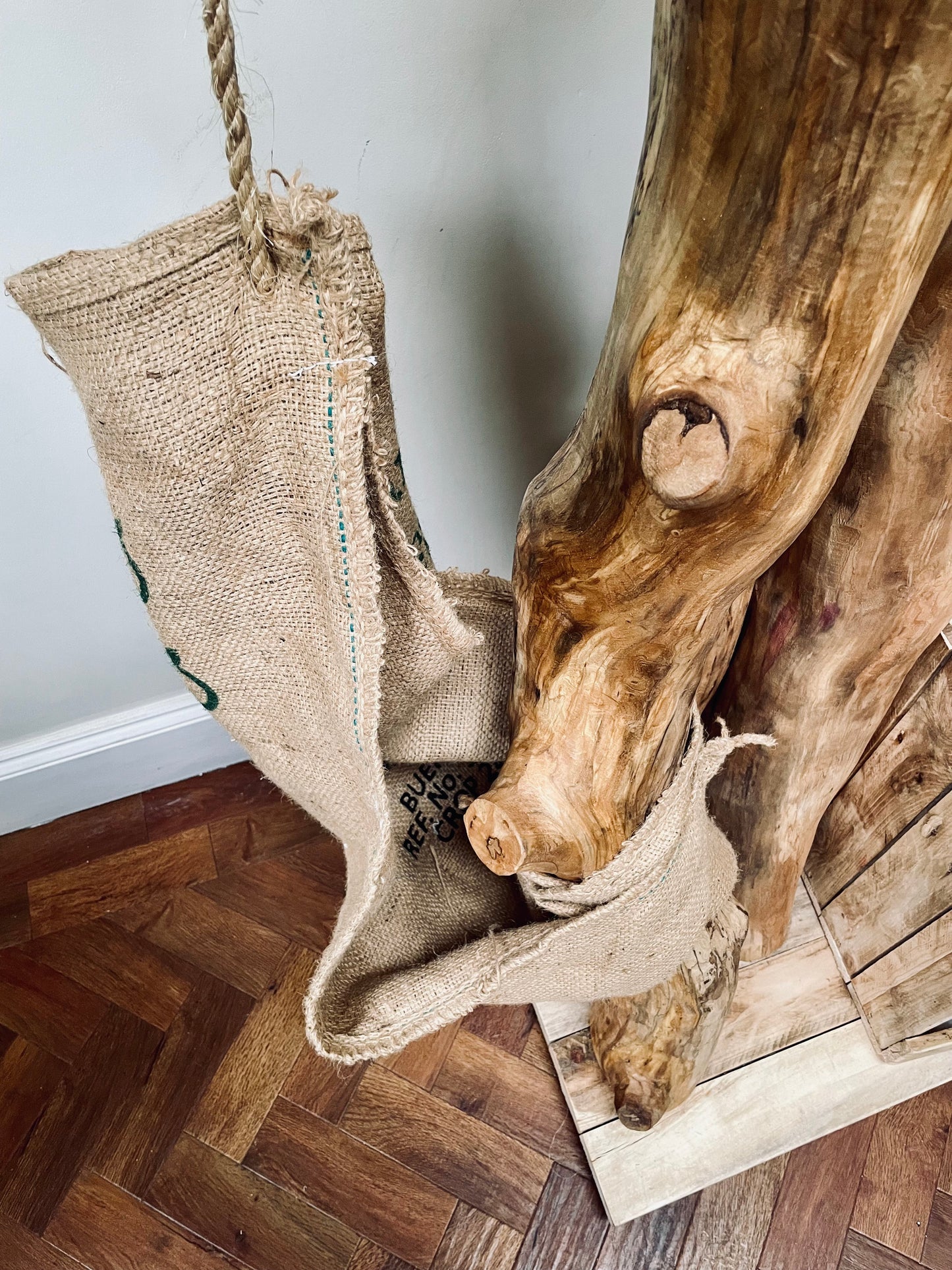 Maple the Maine Coon’s Mega Monolith