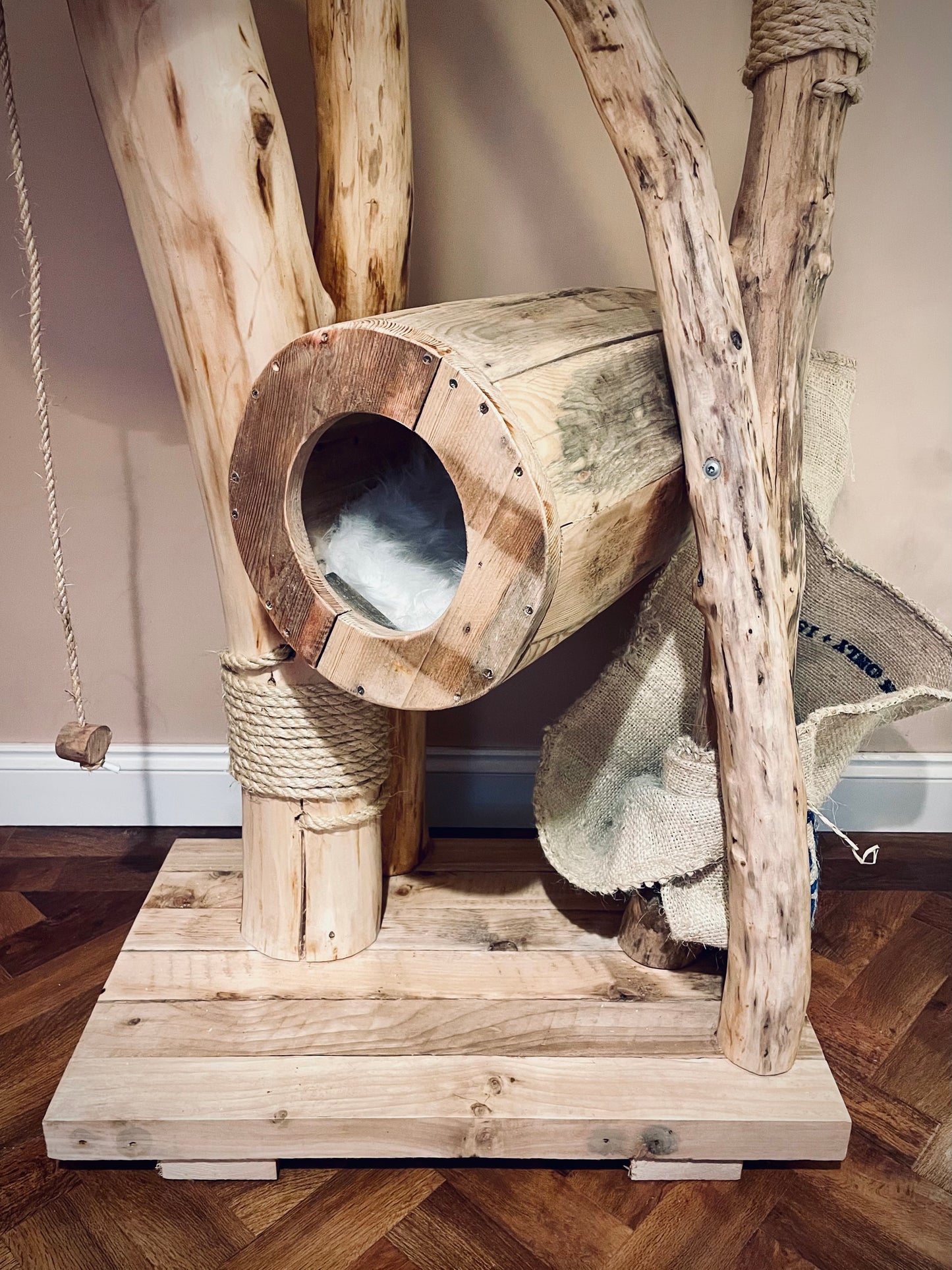 Lil Bub’s Box Room