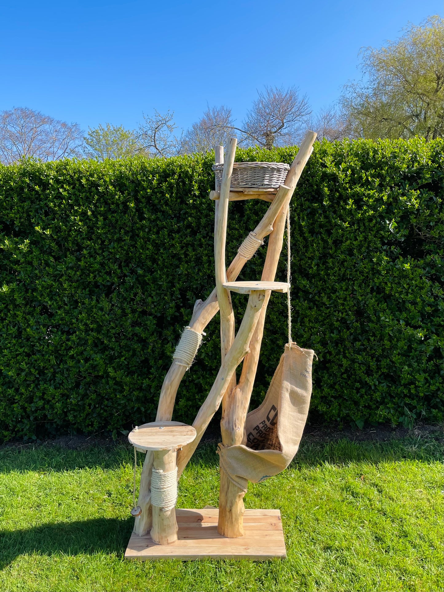 The Tidalwood Regency Climbing Suite