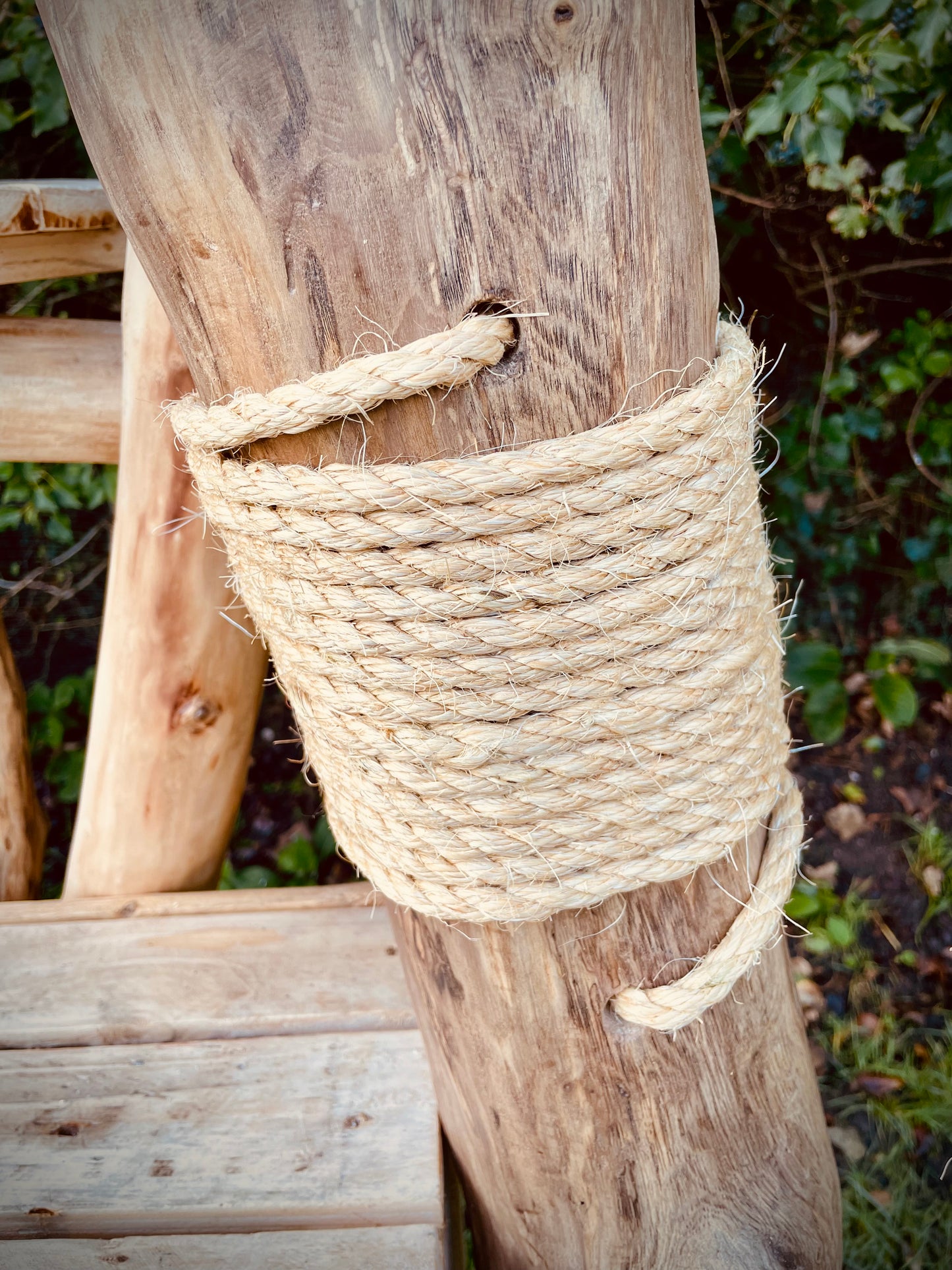 The Wham-Bam Kitty Climb-Jam