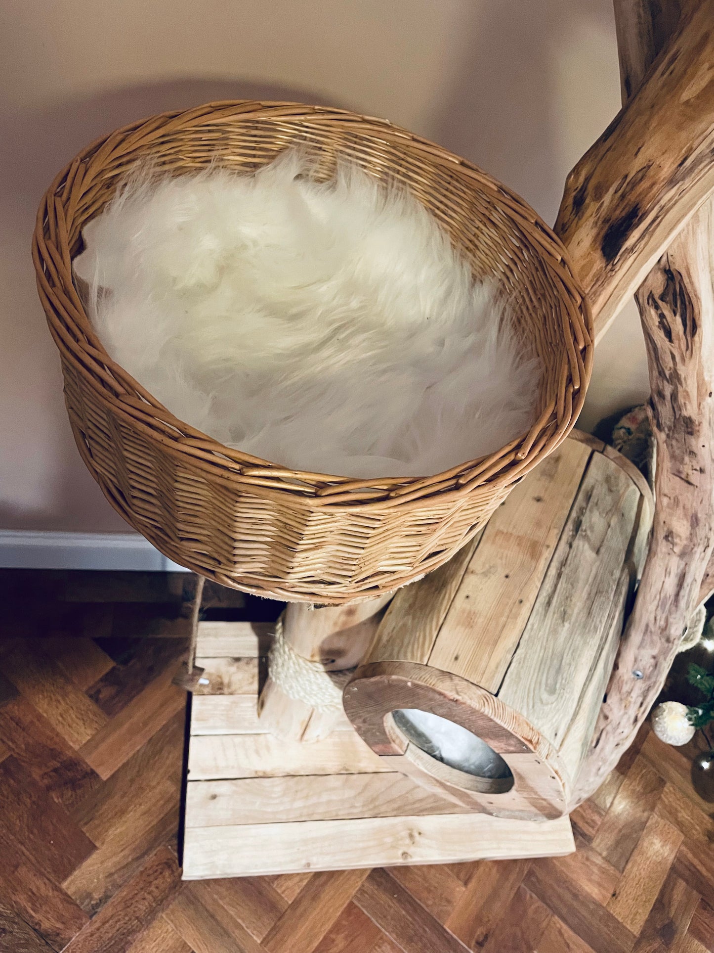 Lil Bub’s Box Room