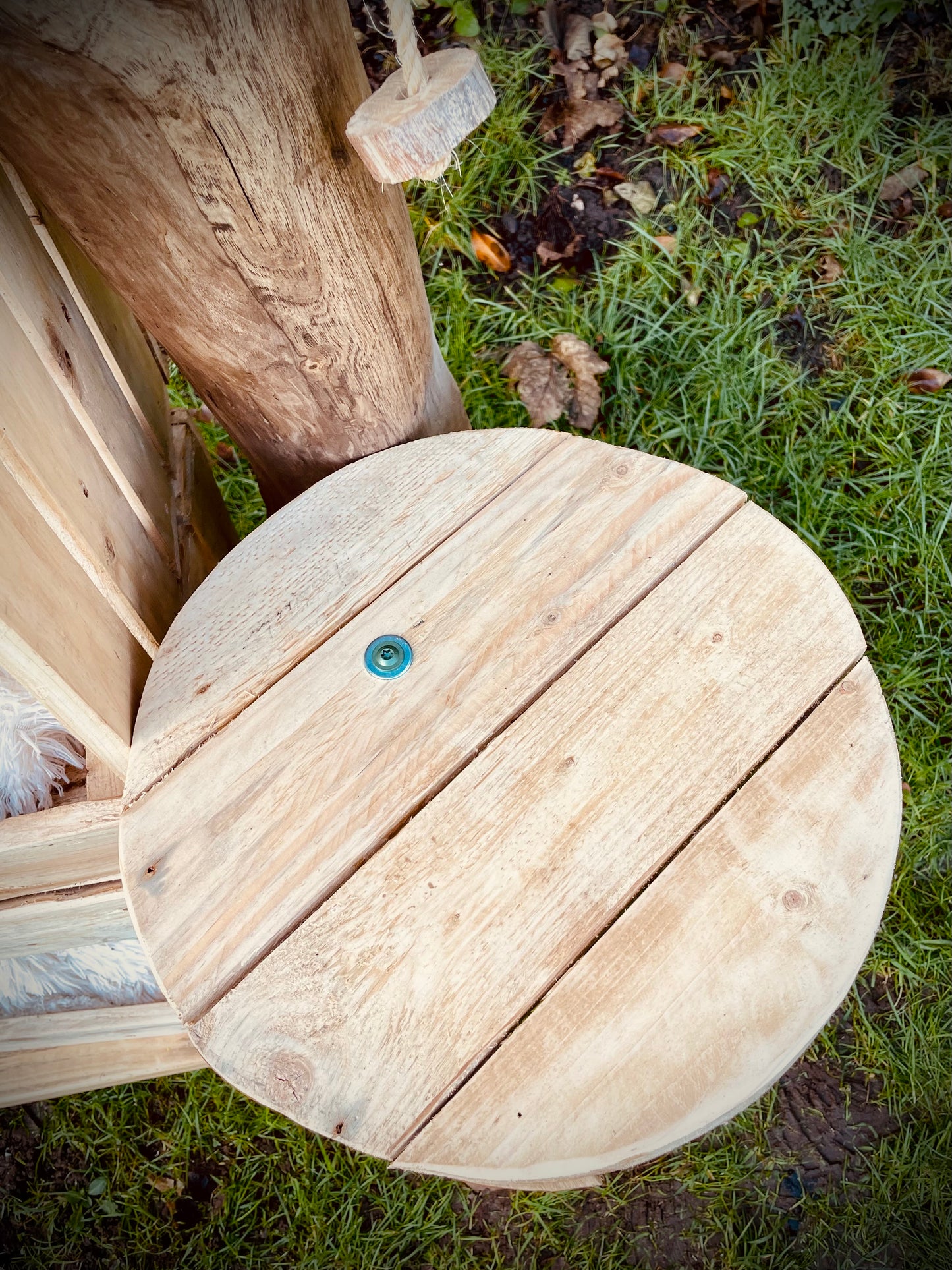 The Wham-Bam Kitty Climb-Jam