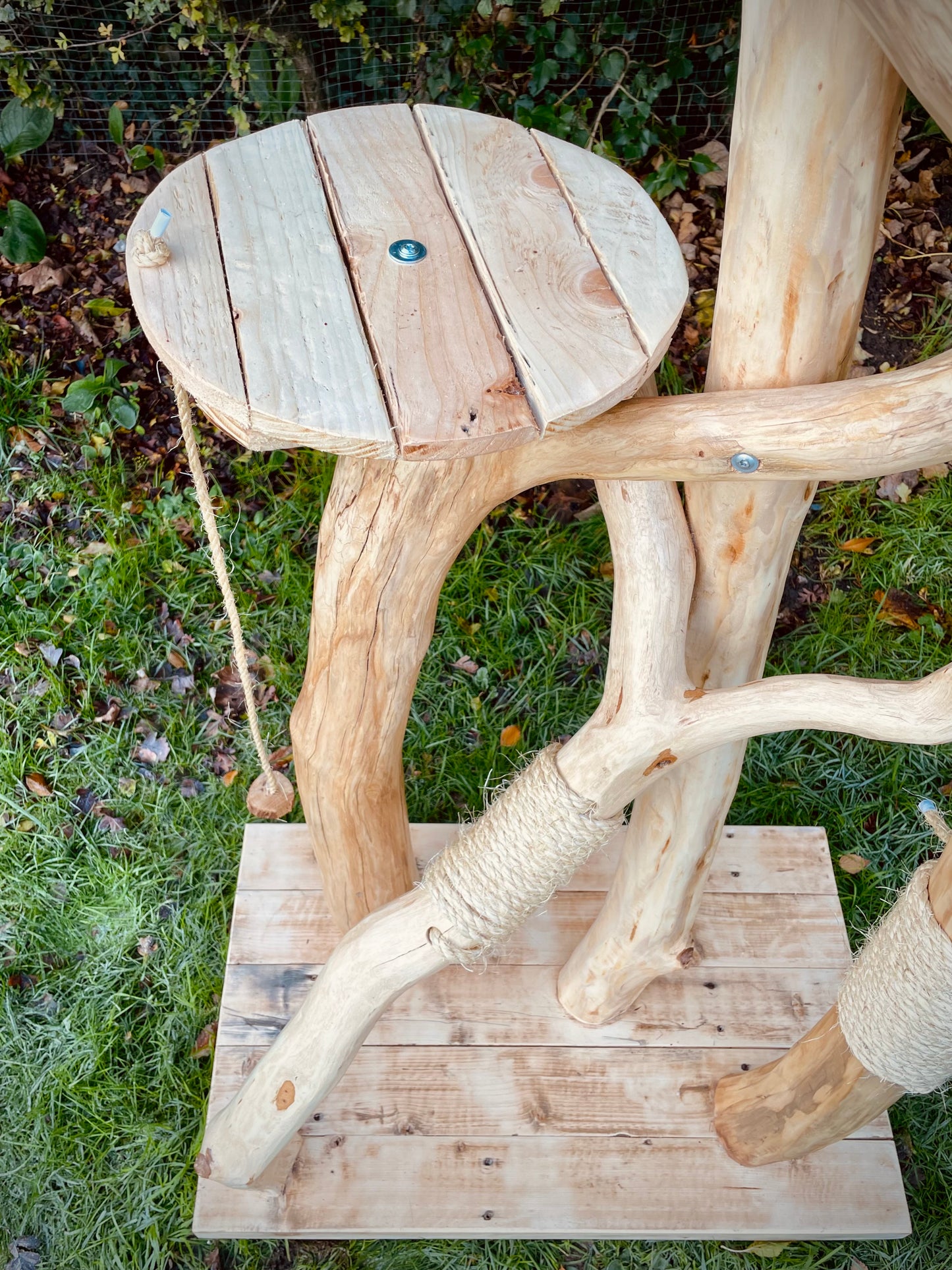 Little Nicky’s Noddy Noo