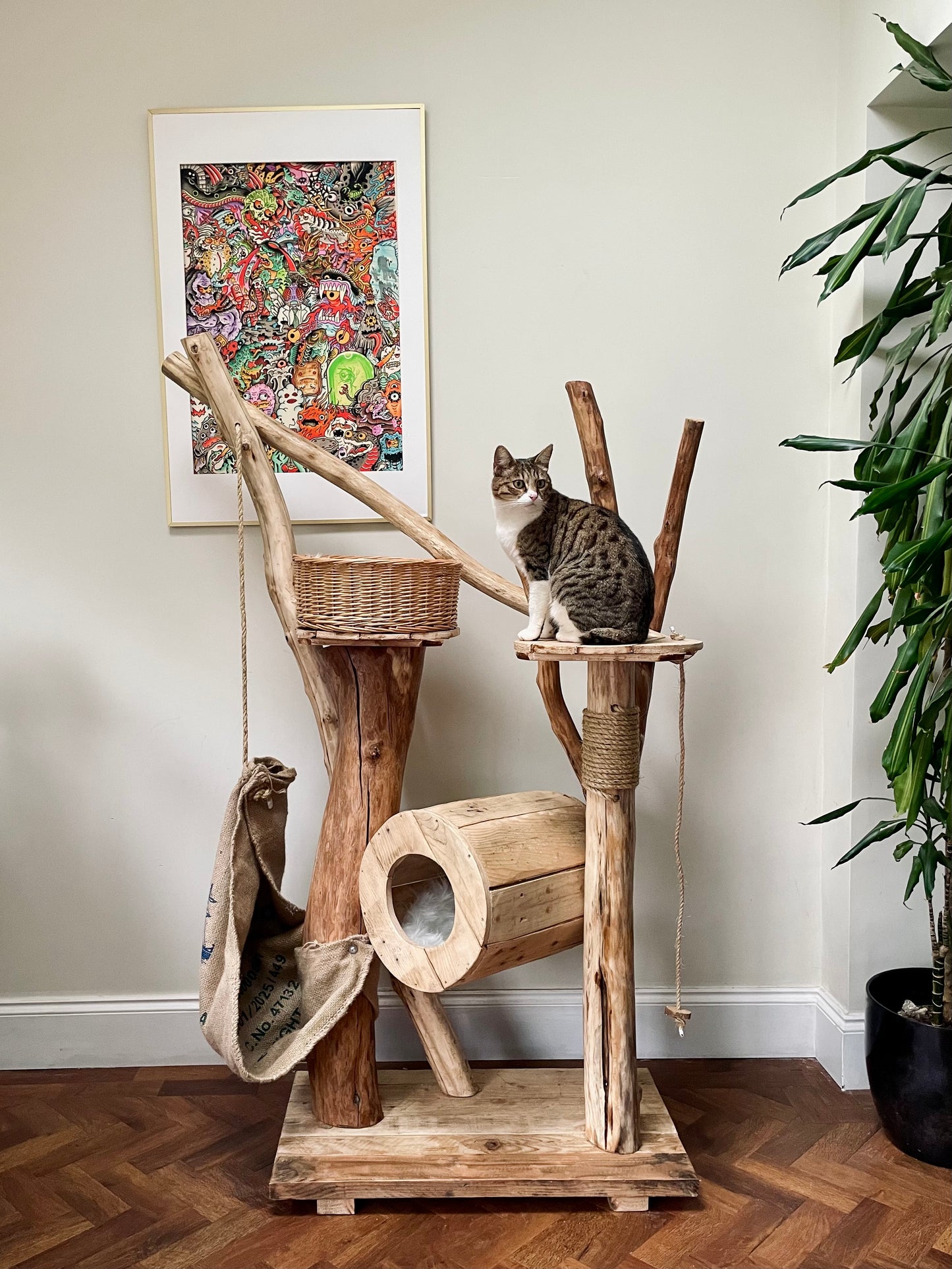 Stanley’s Purr-a-Palooza Shack